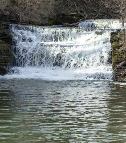 The Overlook at Burdett Falls