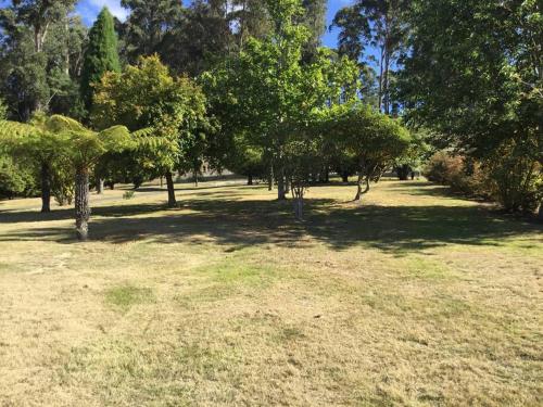 Cabin in the Tasmanian Bush - Tranquility!