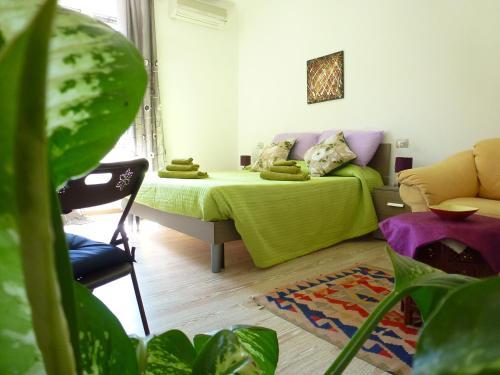 B&B Luce Viola 2
