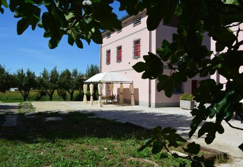 Le Stanze di Bacco 5