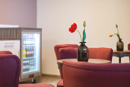 Hotel Wilna - image 9