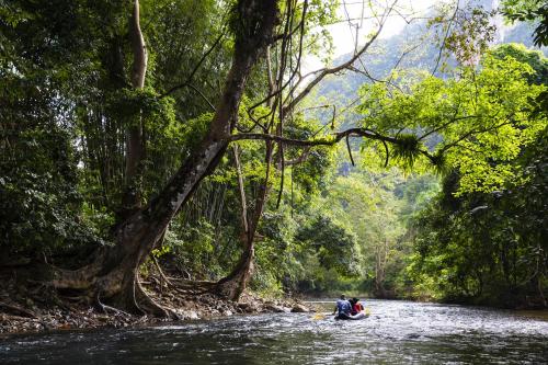 Malulee KhaoSok Resort