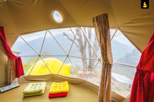 View, LivingStone Snow Region Campsite in Manali