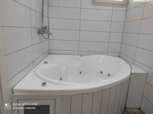 On the edge of the river על קצה הנחל in Majdal Shams