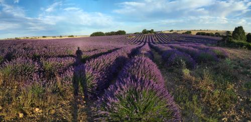 周邊環境, Casa Rural El Edén del Ungría (Casa Rural El Eden del Ungria) in 阿坦桑