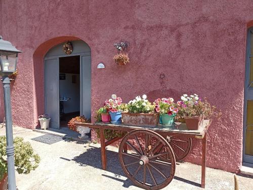 Il Baffetto B&B – Rome