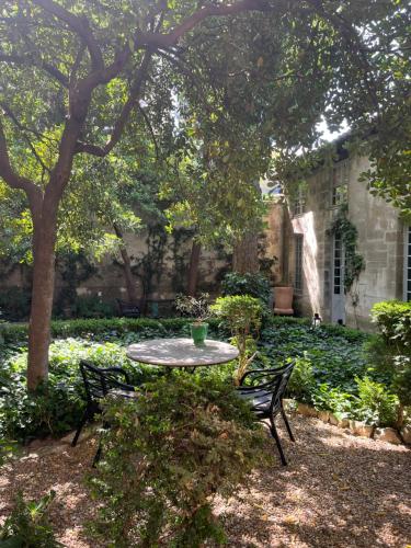 Face au Palais – Avignon, UT