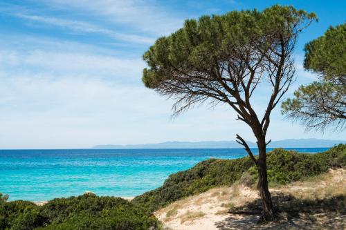 Appartamento con vista mare a Terramala