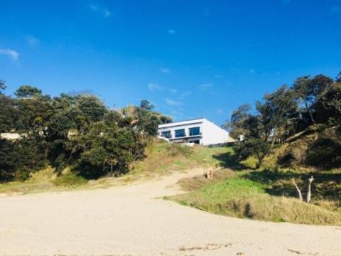 Villa le dauphin 4 étoiles vu Mer - Location, gîte - Meschers-sur-Gironde