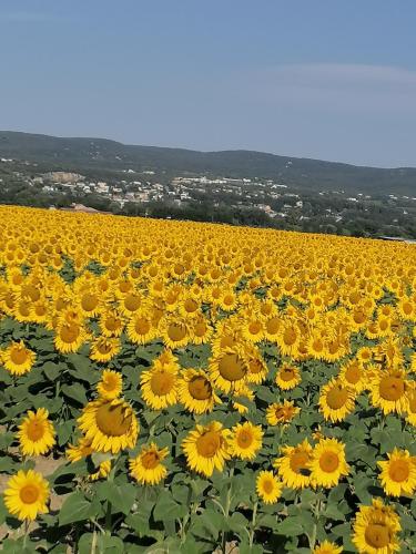 Charmante maison avec terrasse aux portes de l'Ardèche