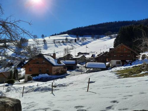 2-Zimmer Ferienwohnung-Einklang im schönen Südschwarzwald