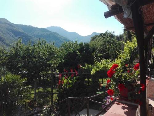 Casa Panoramica Vintage in Tramonti