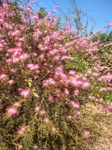 Chalé aconchegante em estância climática