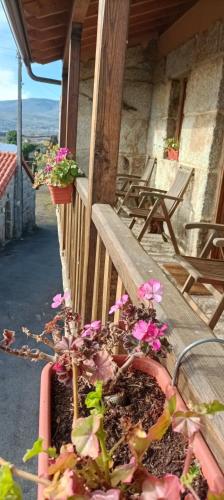 Apartamento Da Moura in Maus de Salas