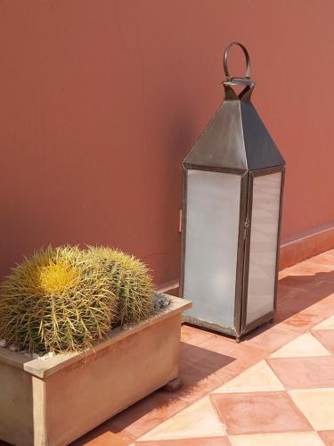 Riad CHERRATA - image 4