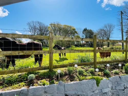 Unique Cottage The Old Stables Pembrokeshire Sleeps 8 - Welsh Tourist Board Award 5 Stars