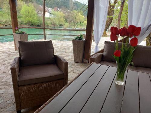 Iekārtas, ATRIUM Holiday home in Srbljani