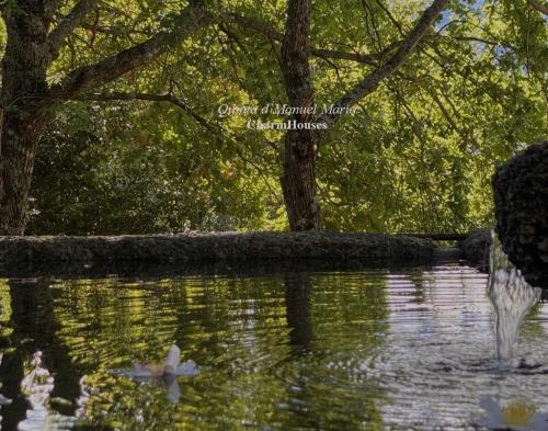 Quinta d´Manuel Maria- Rural Charm Houses, Amarante gîte à louer Carvalho de Rei