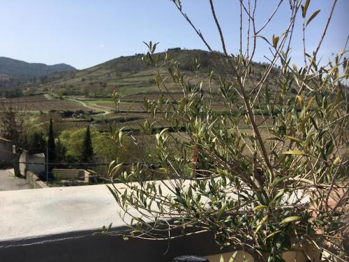 Maison agréable à vivre gîte à louer Floure