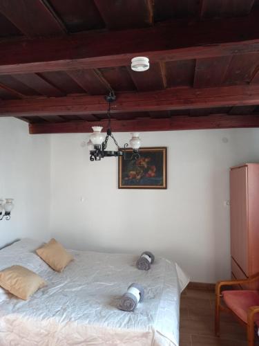 GALAMBLAK Vendeghaz in Abaújszántó