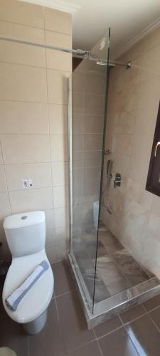 Villa Molivos Castle - image 12