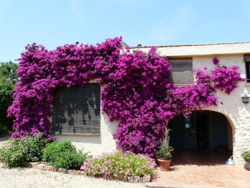 Casa rural con encanto, 4 hab con 4 baños completos en suite, piscina y campo privado