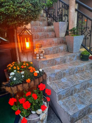 Apartments Aleksandra Cetinje in Cetinje
