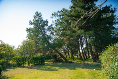 Nice house by the sea!, Epanomi (fotografie 10)