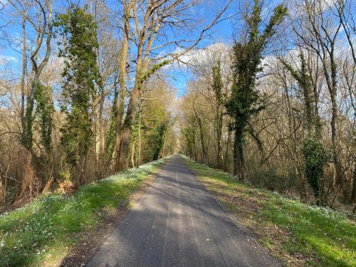 Logement Loire climatisé, La Halte de Cuze, aux abords de la Loire a vélo