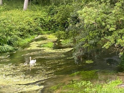 Logement Loire climatisé, La Halte de Cuze, aux abords de la Loire a vélo