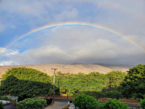 Maalaea Banyans by Coldwell Banker Island Vacations - image 2