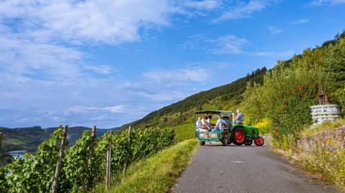 Ferienweingut Hirschen Schulstraße