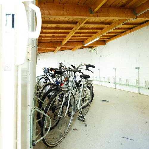 The People Hostel - Tours - image 13
