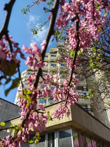 Rovno Hotel - image 9