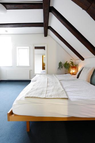 Photo of the accommodation