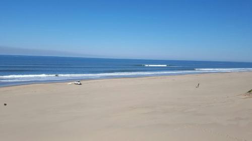 沙灘, raphia on sea in 伍尊哲里