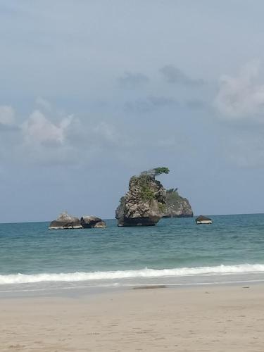 Win Gray Homestay Resort - 액티비티