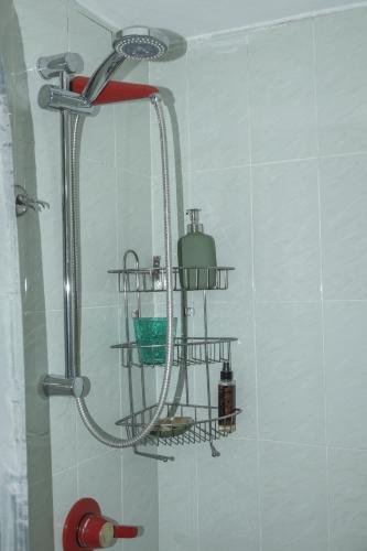 Casina Trastevere, Roma (foto 9)