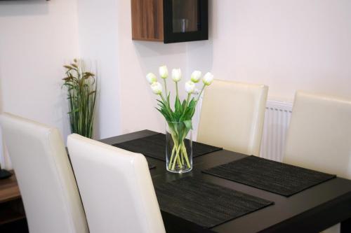Elixír Apartman, Villány (zdjęcie 9)