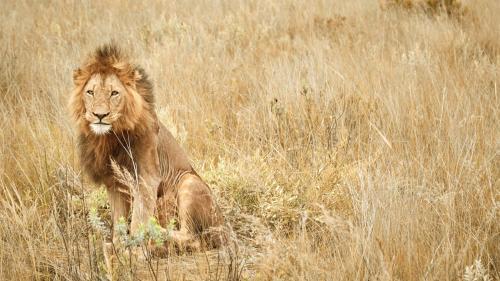 Nkomazi Game Reserve by NEWMARK