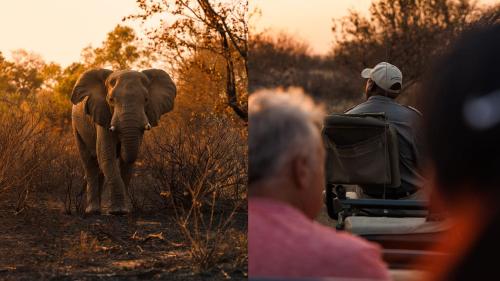 Geiger's Camp in Timbavati Game Reserve by NEWMARK