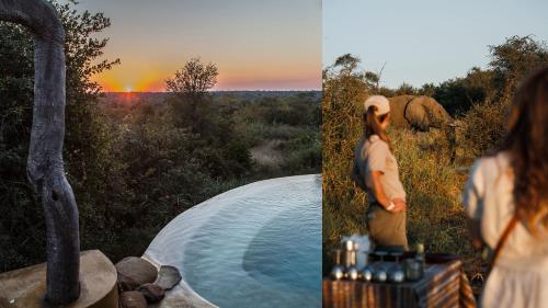 Geiger's Camp in Timbavati Game Reserve by NEWMARK