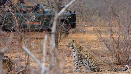 Geiger's Camp in Timbavati Game Reserve by NEWMARK