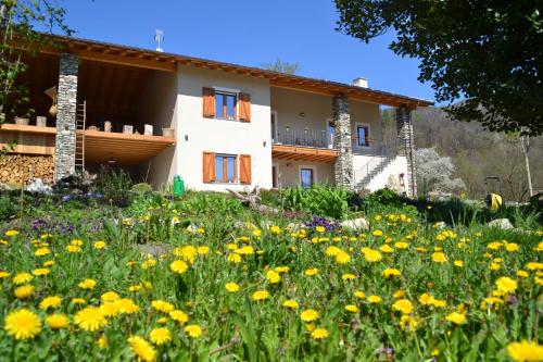 SEMI AL VENTO: la bio-casa nel giardino incantato! - Apartment - Paesana