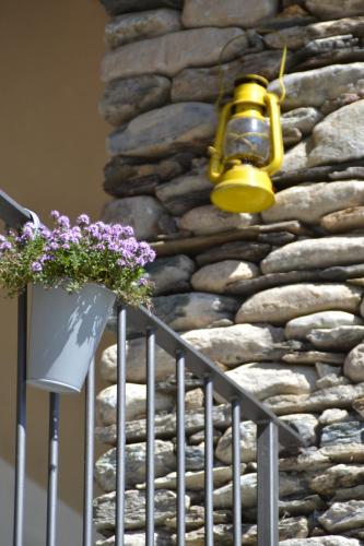 SEMI AL VENTO: la bio-casa nel giardino incantato!