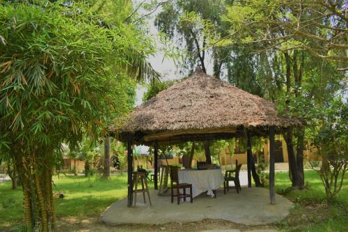 حديقة, Mango Tree Lodge in Thakudwara