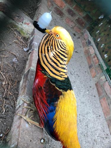 Rancho Ecoturistico el Faro