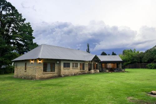 Talking Trees – Clarens, OR