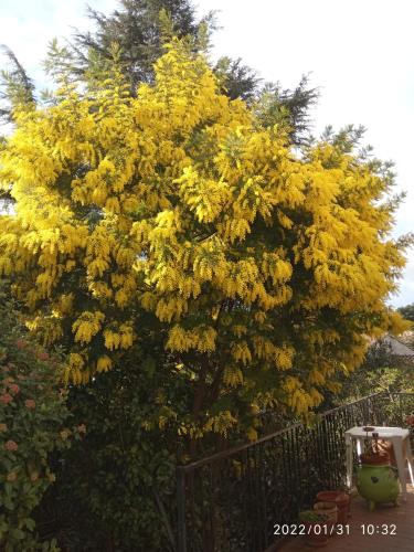 Garden, CHAMBRE salle de bains privee Jardin Arbore in La Chamberte