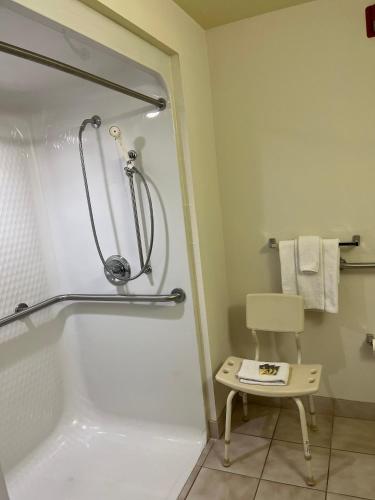 King Room with Roll-In Shower - Mobility Access/Non-Smoking